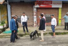 शिवसताक्षीमा सामुदायिक कुकुरको आतंक, नगरपालिकाद्वारा नियन्त्रण अभियान सुरु