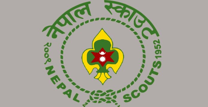 scout-